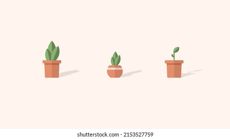 Flat design potted plants. Best for use in posts about plants. 