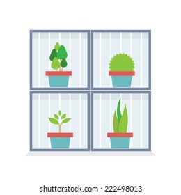 Flat Design Potted Plants In The Box Vector Illustrations