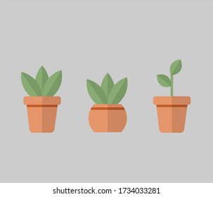 Flat Design Potted Plants grey background
