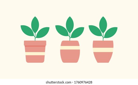 Flat design potted plants. Vector illustration