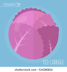 Flat design salad red cabbage vector icon template. Healthy eating antioxidant salad organic natural fiber vegetable.