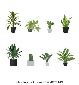 The flat design set of indoor plant