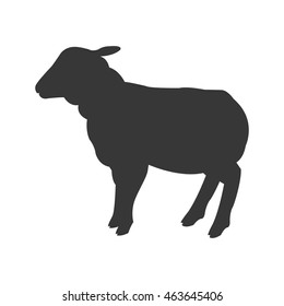 flat design sheep silhouette icon vector illustration