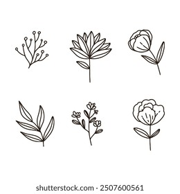 Flat design simple flowers isolated collection.