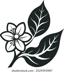Flat design simple jasmin flower vector outline