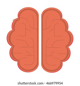 flat design single brain icon vector illustration
