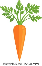 Ilustración plana del icono de la zanahoria del diseño solo con las hojas verdes en el fondo blanco. Elemento gráfico de Vector vegetal de comida vegetariana saludable.