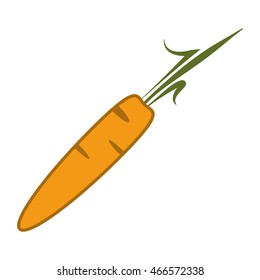 flat design single carrot icon vector illustration
