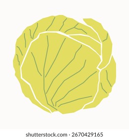 Flat Design Single Round Cabbage Vegetable Graphic Illustration Element