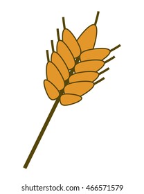 flat design single wheat icon vector illustration