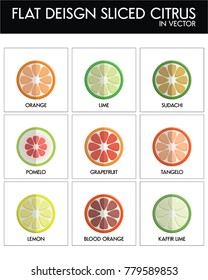 FLAT DESIGN SLICED CITRUS IN VECTOR