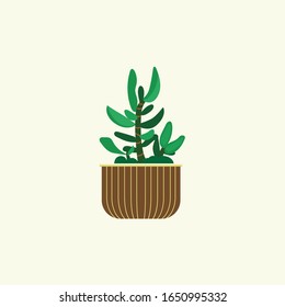 un diseño plano de pequeñas plantas ornamentales embelleciendo el espacio. ilustración de una imagen de plantas ornamentales