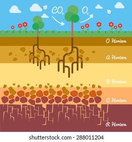 Flat design Soil Infographics Nature Vector illustration