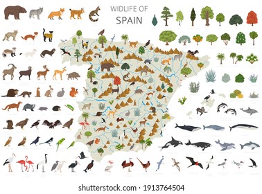 Diseño plano de la fauna española. Animales, aves y elementos constructores de plantas aislados en conjunto blanco. Construya su propia colección de infografías geográficas. Ilustración del vector