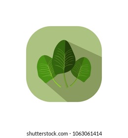 Flat design spinach