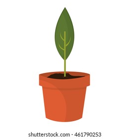 flat design sprout in pot icon vector illustration