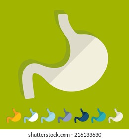 Flat design: stomach
