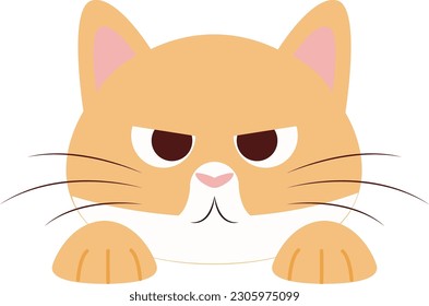 a flat design style illustration depicting an orange and white cat with an angry and sullen expression, looking at him cynically. This design can be used as an emoticon as well as a decorative element