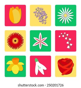 Flat design style modern vector illustration set flowers