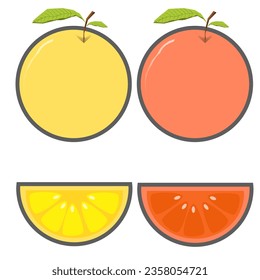 flat design of sweet mandarin oranges and tangerines