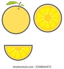 flat design of sweet mandarin oranges and tangerines