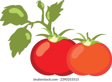 Ilustración vectorial de iconos de tomate de diseño plano