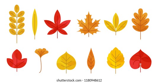 Flat design transparent various shape autumn leaves set.