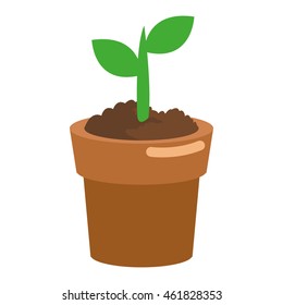 flat design tree sprout icon vector illustration