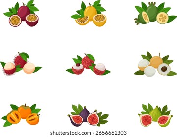 Frutos tropicais de design plano. Ilustrações vetoriais sobre fundo branco. Ícones. Conjunto de frutas.