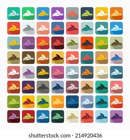 Flat design: turtle