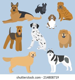 Flat design types of dogs part 2