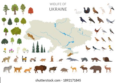 Flat design of Ukraina wildlife. Animals, birds and plants constructor elements isolated on white set. Build your own geography infographics collection. Vector illustration