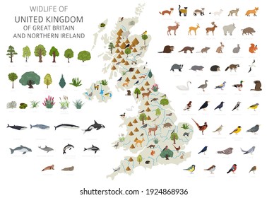 Flat design of United Kingdom wildlife. Animals, birds and plants constructor elements isolated on white set. Build your own geography infographics collection. Vector illustration