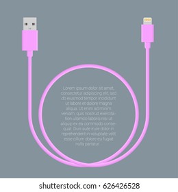 Flat design  usb data charge cable connectors  vector template 