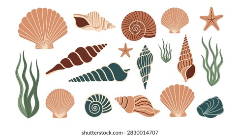 Flat design of various seashells starfish and seaweed in earthy tones