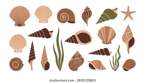 Flat design of various seashells starfish and seaweed in earthy tones