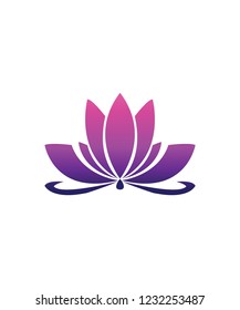 flat design vector