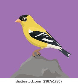 Flat design vector of American Goldfinch perch on a rock