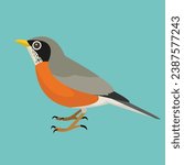 Flat design vector of American Robin perched on the ground