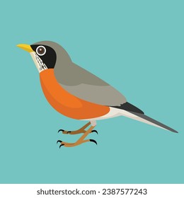 Flat design vector of American Robin perched on the ground