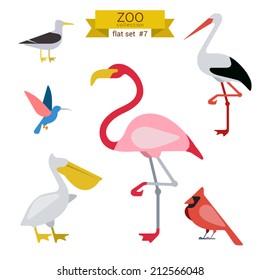 Flat design vector birds icon set. Seagull, hummingbird, flamingo, stork, pelicans. Flat zoo children cartoon collection.