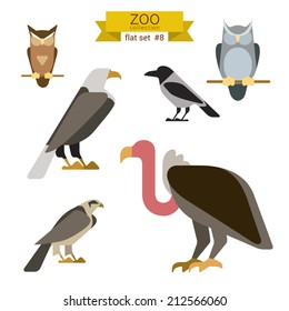 Flat Design Vector Birds Icon Set. Owl, Eagle, Hawk, Griffin, Crow. Flat Zoo Children Cartoon Collection.