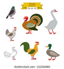 Flat design vector birds icon set. Dove, turkey, goose, chicken, rooster, duck. Flat zoo children cartoon collection.