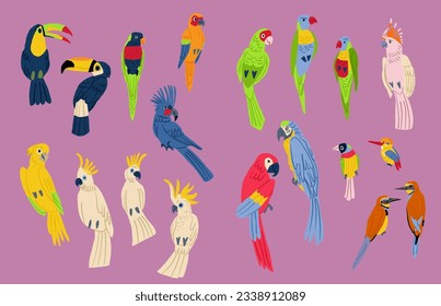 Flat design vector birds icon set. Popular birding species collection. Exotic bird set in flat design.