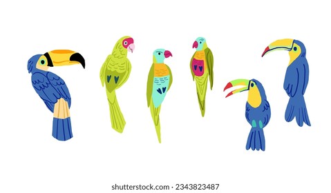 Juego de iconos de aves vectoriales de diseño plano. Colección popular de especies de aves. Pájaro exótico en diseño plano sobre blanco. 