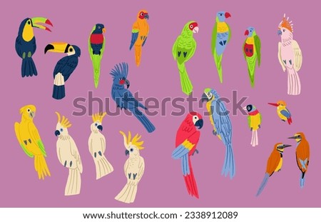 Flat design vector birds icon set. Popular birding species collection. Exotic bird set in flat design.