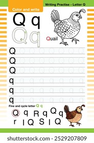 vetor de design plano bonito alfabeto colorido aprende ABC Inglês flashcard imprimível para a atividade das crianças, Carta Q, Colorir desenhos animados animais, A-Z carta escrita prática, Quail