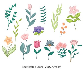 diseño plano de flores vectoriales y hojas aisladas