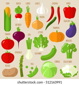 Flat design vector fresh raw vegetables icon set.