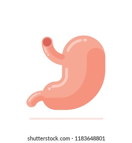 Flat design vector Illustration of human stomach isolated on white